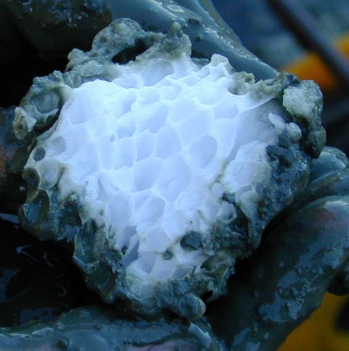 Figure 3: Clathrate ice — (source: Wikimedia)